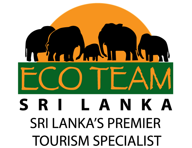 Eco Team Logo
